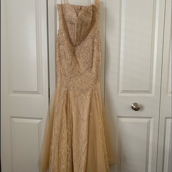 Janique Blush Gown - Picture 1 of 2